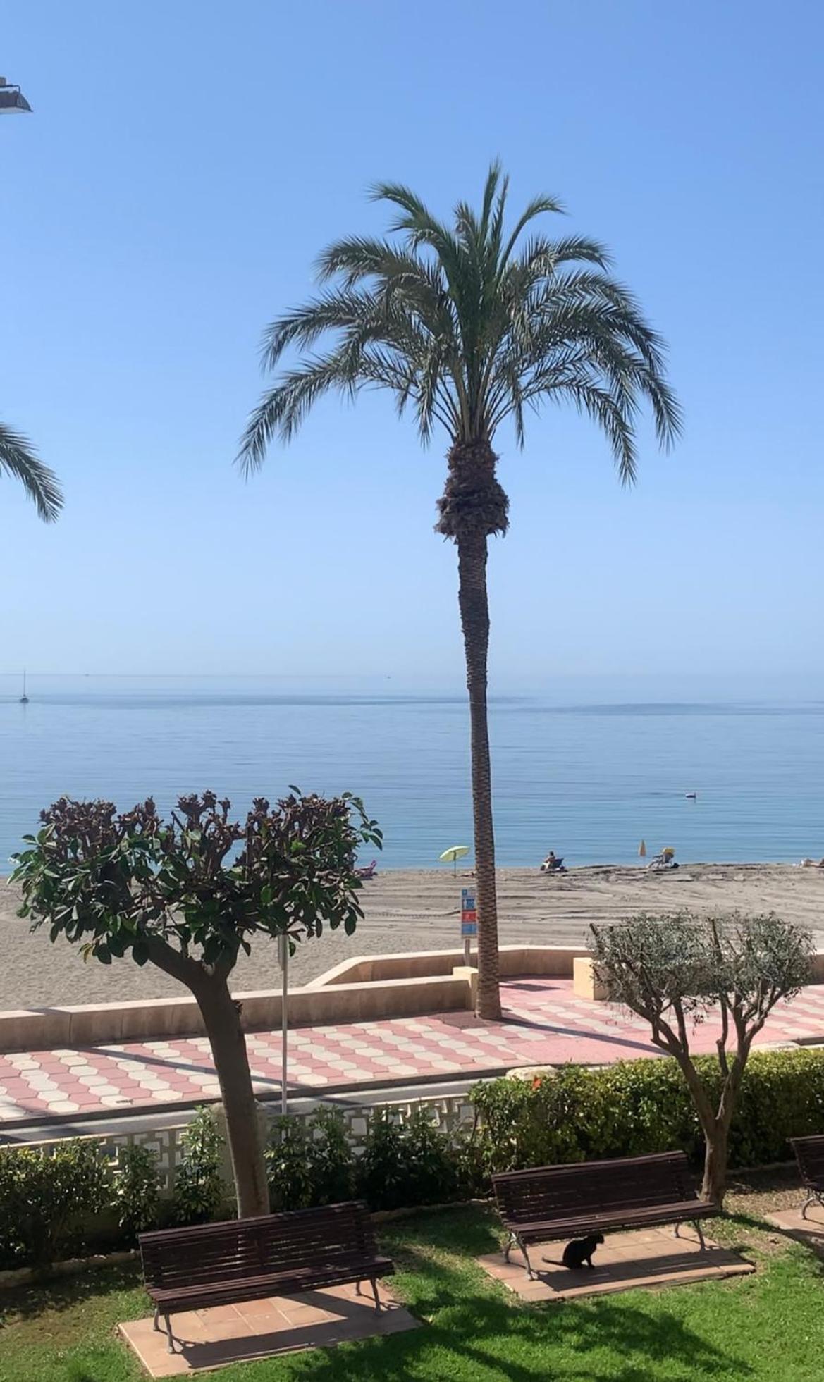 Brisas Del Mar Mediterraneo Aguadulce  Exterior photo